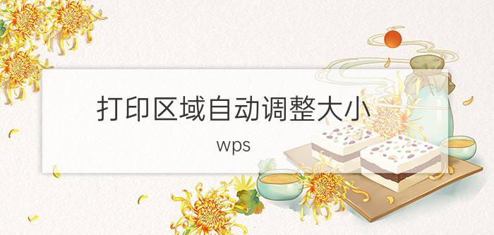 打印区域自动调整大小 wps  pdf怎样设置打印半截？